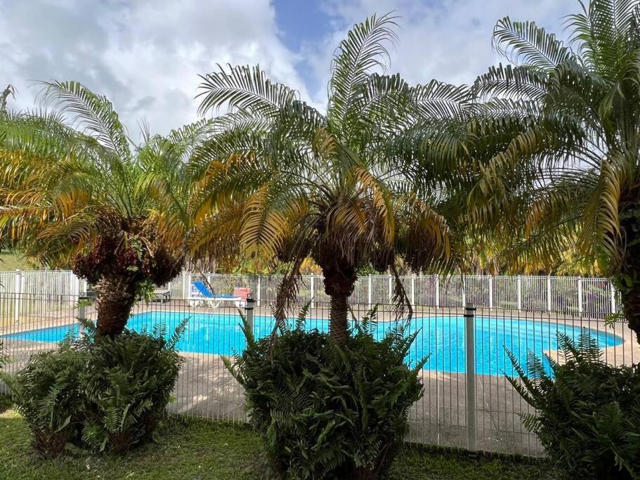 Kanoa Lodge Piscine Et Vue Mer Saint-Claude Dış mekan fotoğraf